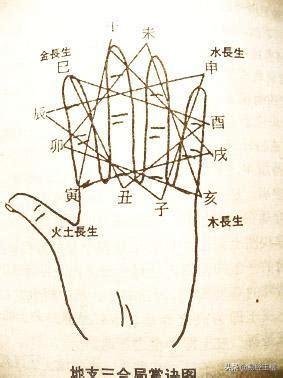 地支三合意義 剪陰毛 男